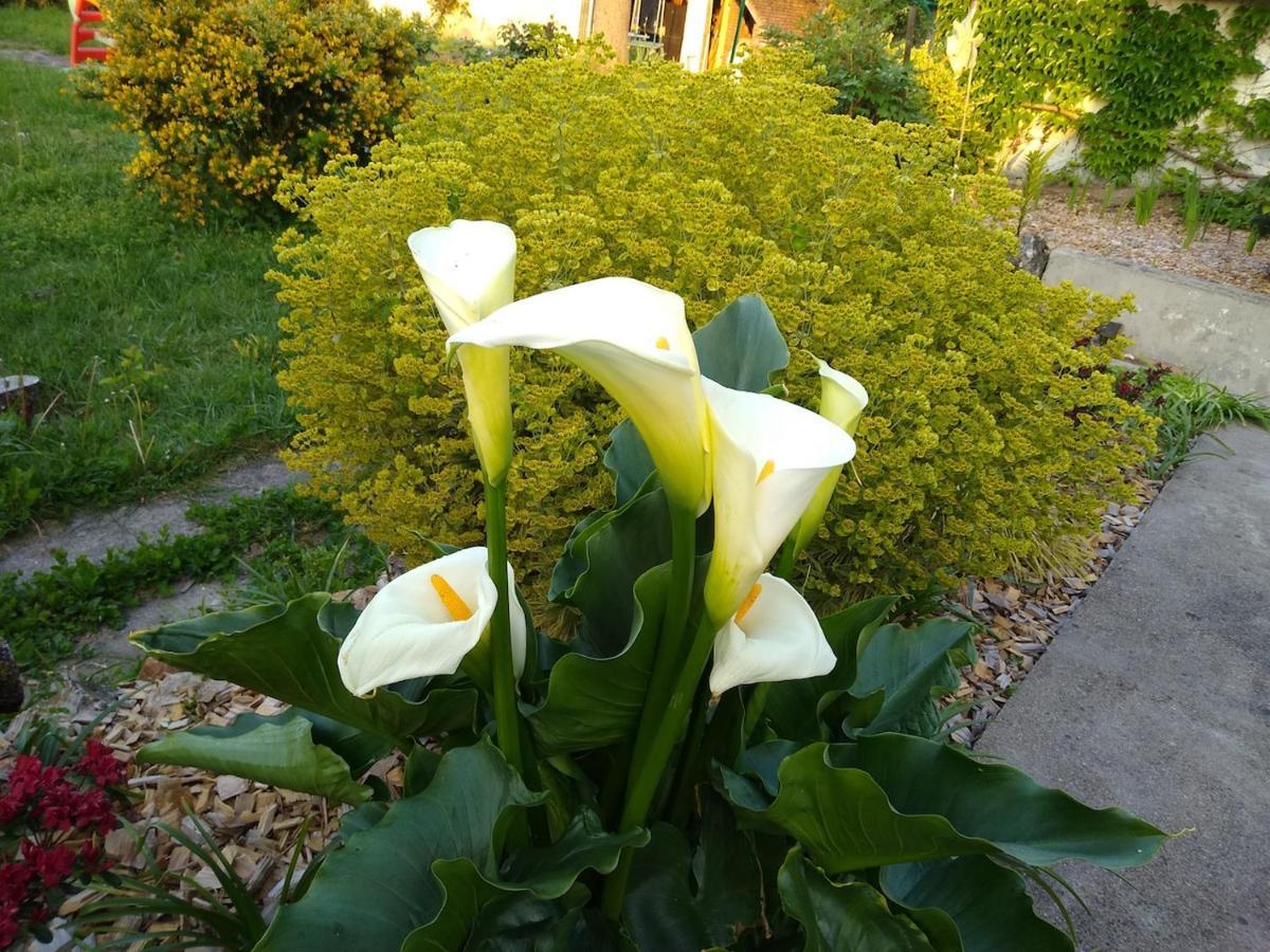 La Ribambelle Bed & Breakfast Saint-Brisson-sur-Loire ภายนอก รูปภาพ